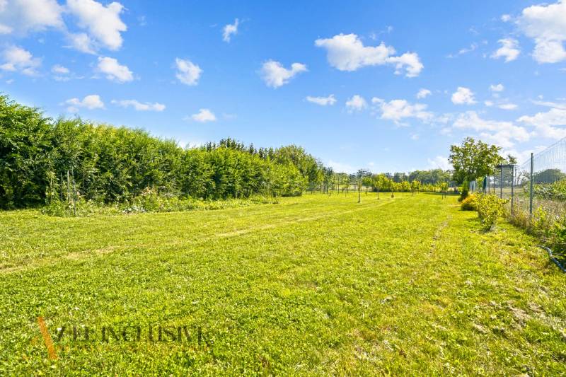 REZERVOVANÉ 3-IZBOVÝ RODINNÝ DOM V OBCI BALOŇ - Trávnatý pozemok pri rodinnom dome v Baloni s hustým živým plotom a stromami.