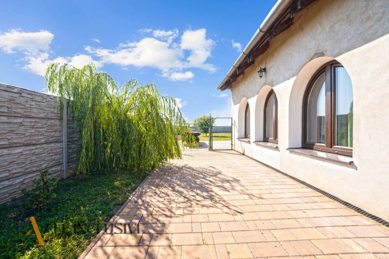 REZERVOVANÉ ZREKONŠTR. 6 IZBOVÝ RODINNÝ DOM, KOŠÚTY - Dlaždená terasa vedľa rodinného domu v Košútoch s previsovou vŕbou a plotom.