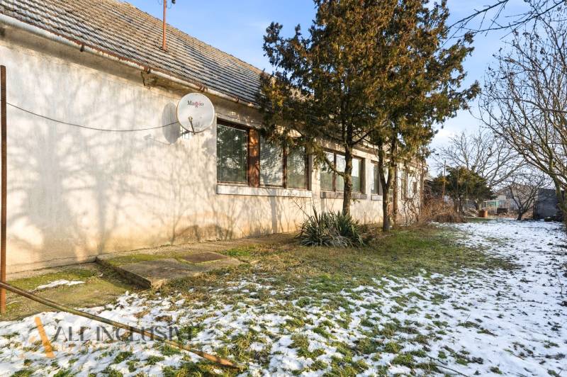 Na predaj 4-izbový rodinný dom, Dolné Saliby - Rodinný dom v Dolných Salibách s veľkou záhradou a satelitnou anténou.