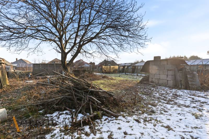 Na predaj 4-izbový rodinný dom, Dolné Saliby - Záhrada pri rodinnom dome v Dolných Salibách s konármi a zvyškami snehu.