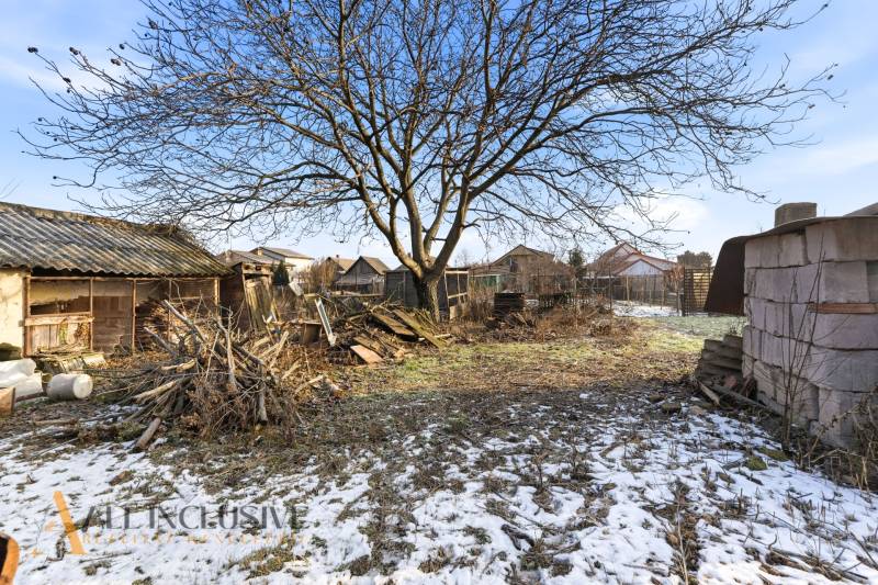 Na predaj 4-izbový rodinný dom, Dolné Saliby - Záhrada rodinného domu v Dolných Salibách so stromom, starými stavbami a zvyškami snehu.