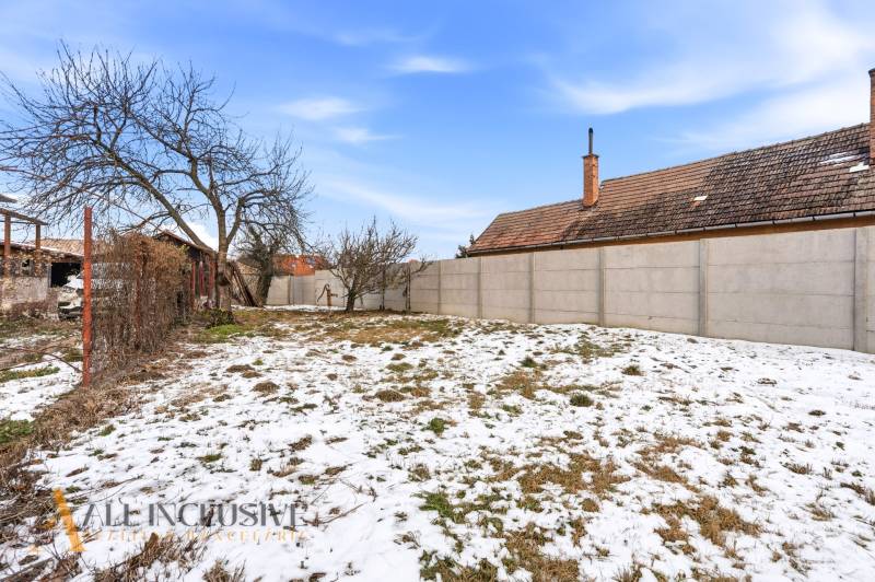 Na predaj 3-izbový rodinný dom, Dobrohošť - Zasnežená záhrada Rodinného domu v Dobrohošti s ovocnými stromami a betónovým plotom.