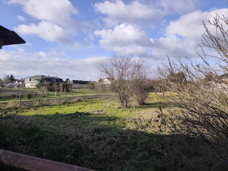 Na predaj 3-izb. rodinný dom, Gabčíkovo – Polná ulica - Záhrady a stromy za rodinnými domami na Poľnej ulici v Gabčíkove.