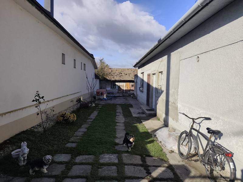 Na predaj 3-izb. rodinný dom, Gabčíkovo – Polná ulica - Dvor rodinného domu na Poľnej v Gabčíkove s bicyklom a psom na trávniku.