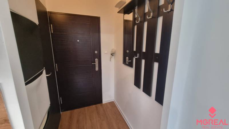 Prenájom 1- izbový byt  - Predsieň s podlahou s dreveným dekorom a tmavým nábytkom, 1-izbový byt.