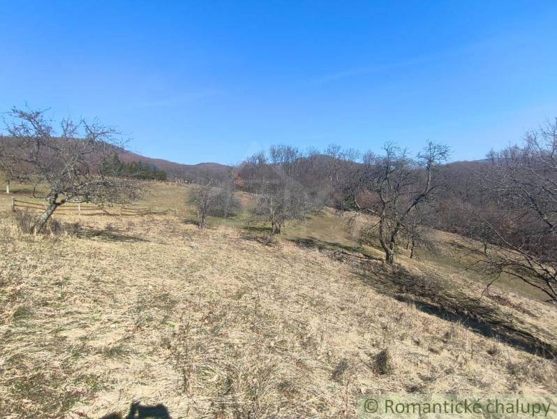 Krásny slnečný pozemok v Novej Bani - Kopcovité Záhrady v okolí Novej Bane s holými stromami a modrou oblohou.