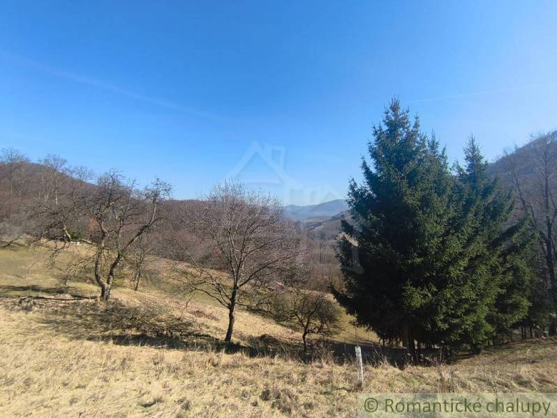 Krásny slnečný pozemok v Novej Bani - Záhrady v Novej Bani s listnatými a ihličnatými stromami na svahovitom teréne pod modrou oblohou.