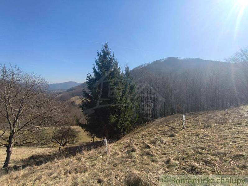 Krásny slnečný pozemok v Novej Bani - Krajina so stromami a kopcami v okolí Nová Baňa v záhradách.