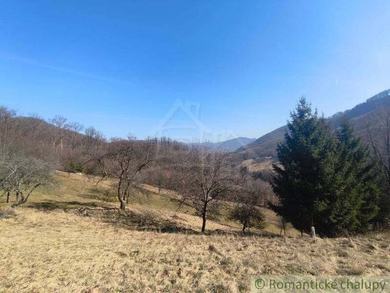 Krásny slnečný pozemok v Novej Bani - Prírodná krajina v okolí Nová Baňa so stromami a kopcami na Záhradách.