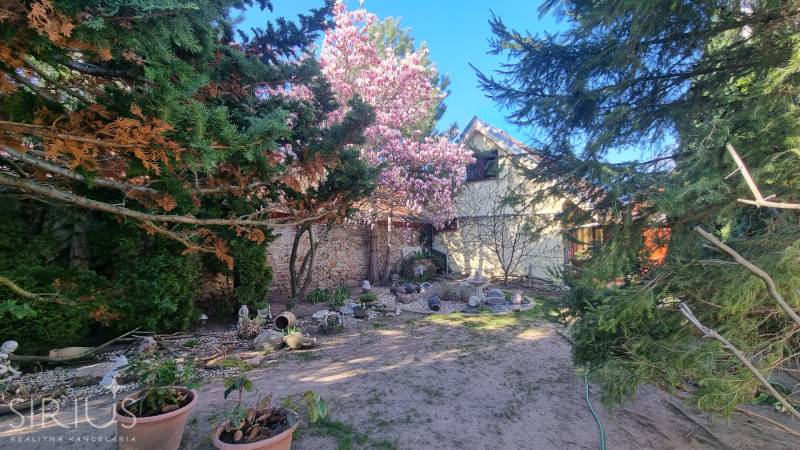 LIMBACH, 176 m2 –  kompletne zrekonštruovaný 5-i rodinný dom - Rodinný dom na ulici Limbach, kvetinová záhrada s magnóliou a kamenným múrom.