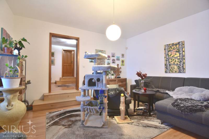 LIMBACH, 176 m2 –  kompletne zrekonštruovaný 5-i rodinný dom - V rodinnom dome na ulici Limbach vidno obývačku s pohovkou, koberec a škrabadlo.