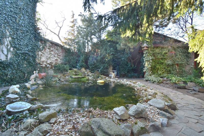 LIMBACH, 176 m2 –  kompletne zrekonštruovaný 5-i rodinný dom - Záhrada s jazierkom obklopená rastlinami a sochami korytnačiek, na ulici Limbach.