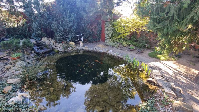 LIMBACH, 176 m2 –  kompletne zrekonštruovaný 5-i rodinný dom - Malebná záhrada s jazierkom a rybami na ulici Limbach, doplnok rodinný dom.