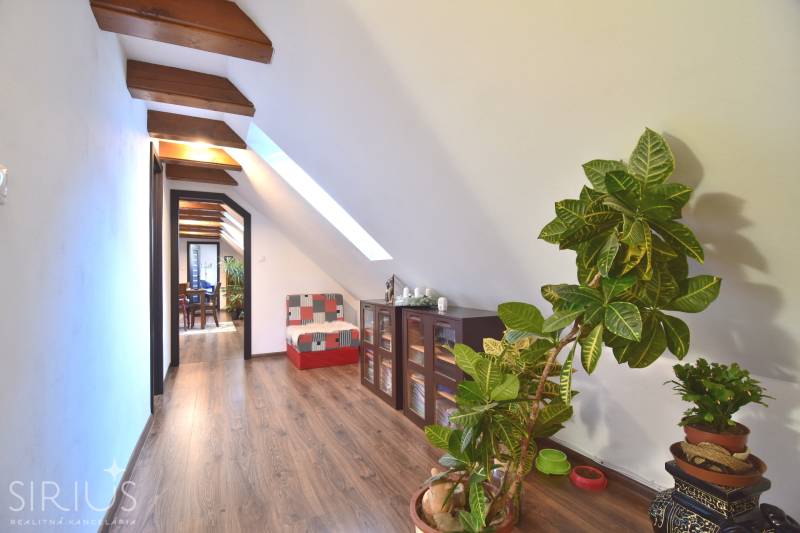 LIMBACH, 176 m2 –  kompletne zrekonštruovaný 5-i rodinný dom - Chodba so strešným oknom, drevenou podlahou a kvetmi, typická pre rodinný dom.