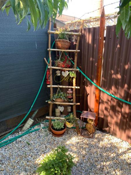 Predáme záhradu so zrubovou chatou, Nitra - Dolné Krškany - Záhrady v Dolných Krškanoch v Nitre s ozdobným rebríkom a kvetináčmi na štrkovom podklade.