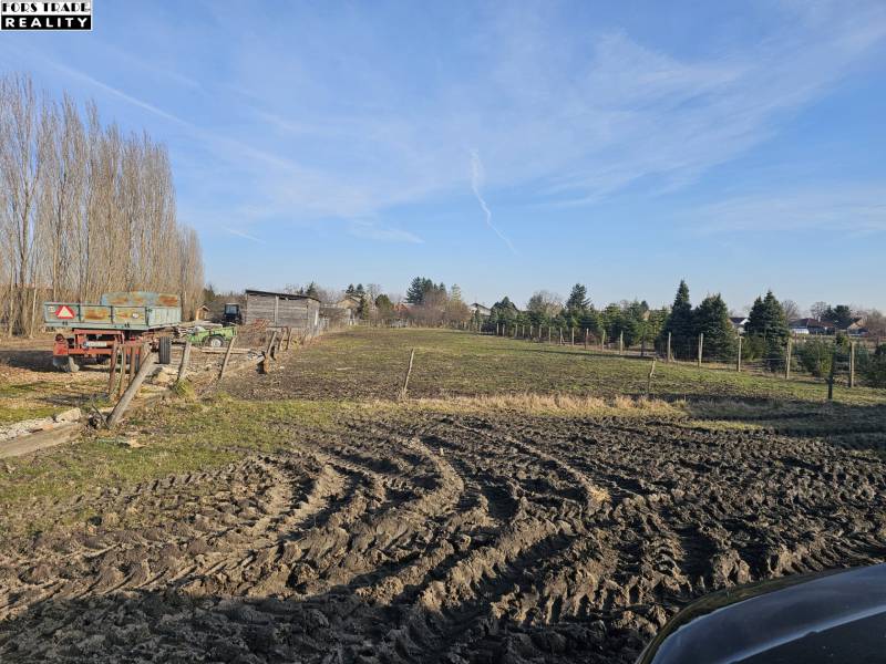 Predám pozemok v Tešedíkove - 994m2  - Pozemky v Tešedíkove vhodné na bývanie s výhľadom na stromoradie.
