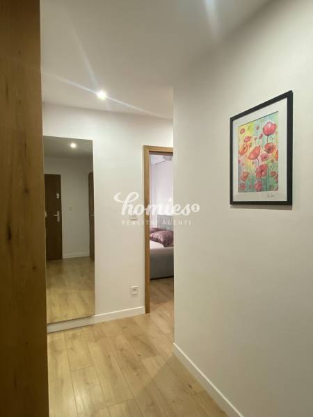 PRENÁJOM luxusný 2 izbový byt v centre mesta Nitra, parkovanie - Chodba 2-izbového bytu s podlahou s dreveným dekorom a obrazom na stene.