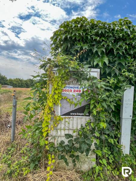 Stavebný pozemok pre RD | všetky podklady | 528 m² |Bernolákovo - Zelené popínavé rastliny pokrývajú plot na ulici Poľná v Bernolákove, vhodné pre Pozemky - bývanie.
