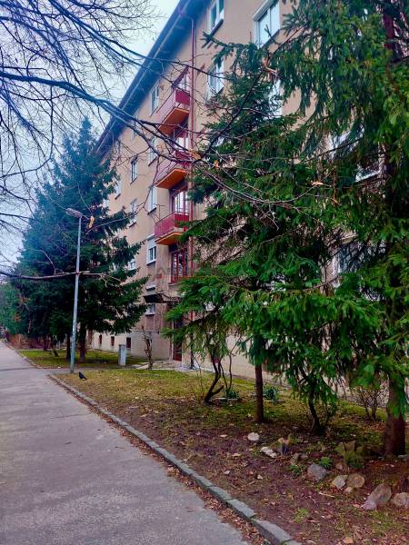 Vkusný, moderný 2 izb, klíma, 870 s ener., Sibírska ul./Nové Mesto - Ulica Sibírska v Bratislave - Nové Mesto s panelovým bytovým domom a stromami.
