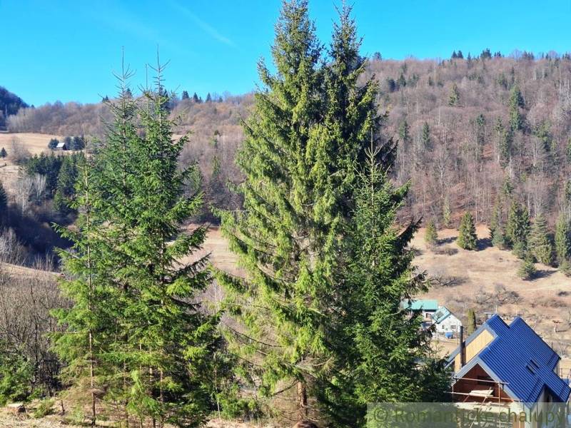 Veľký pozemok na čarovnom mieste polosamota Hronec 2. - Poľnohospodárske a lesné pozemky v Hronci, lesy a strechy domov.