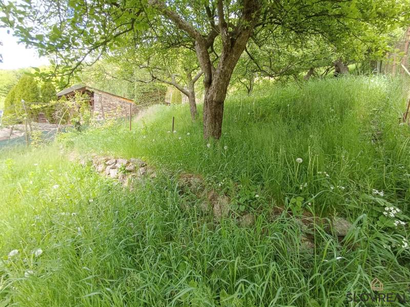 Predaj domu v Janovej Lehote - Záhrada s ovocnými stromami a drevenou kôlňou v Janovej Lehote pri rodinnom dome.