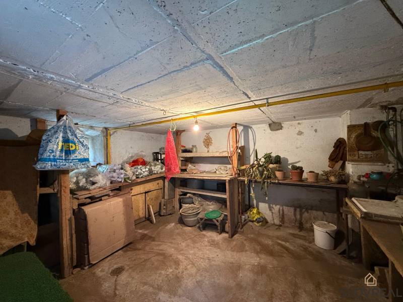 Predaj domu v Janovej Lehote - Pivnica rodinného domu s drevenými policami a kvetináčmi.