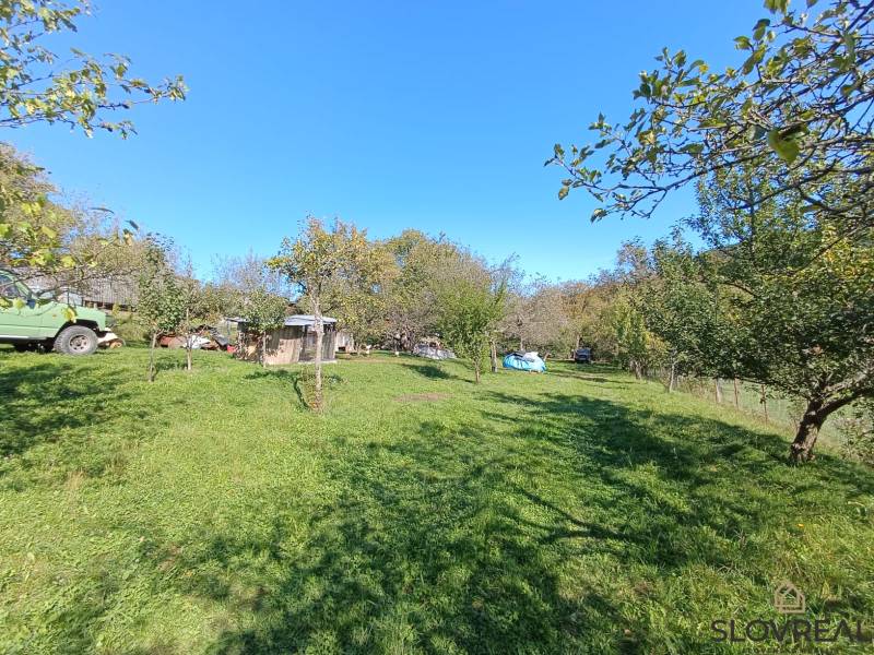 : Predaj rodinného domu s veľkým pozemkom v obci Pitelová  - Záhrada v Pitelovej s trávnikom, stromami a drevenou chatkou pri rodinnom dome.