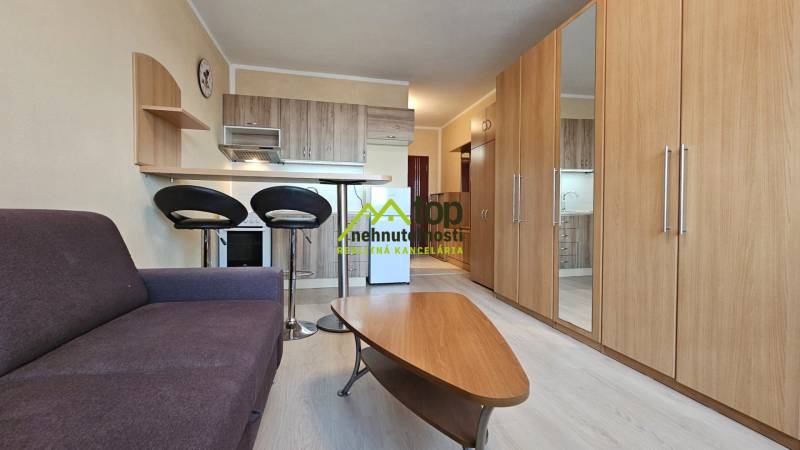 TOPOĽĆANY - zariadená garsónka na sídlisku JUH - Garsónka so sedačkou, kuchynským kútom, podlahou s dreveným dekorom a vstavanými skriňami.