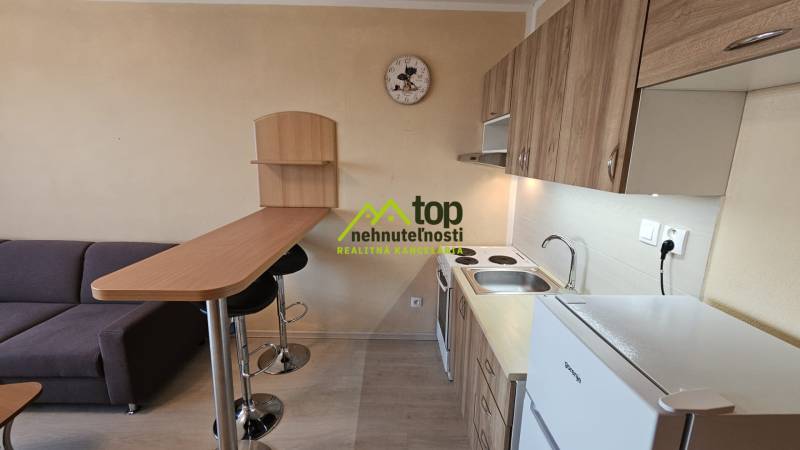 TOPOĽĆANY - zariadená garsónka na sídlisku JUH - Kompaktná garsónka s kuchynkou, barovým pultom a pohovkou, podlaha s dreveným dekorom.
