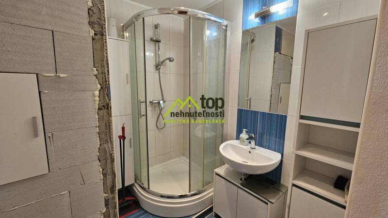 TOPOĽĆANY - zariadená garsónka na sídlisku JUH - Kúpeľňa s rohovým sprchovým kútom, umývadlom a zrkadlom, vhodná pre garsónku.