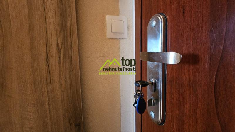 TOPOĽĆANY - zariadená garsónka na sídlisku JUH - Drevené dvere v garsónke s kovovým kľučkom a svetlým vypínačom.