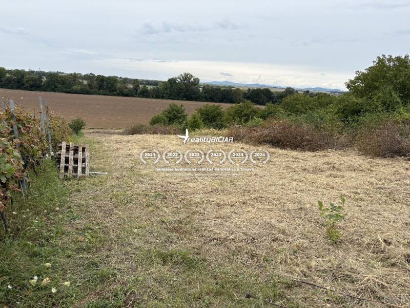 Predaj investičného pozemku – Zvončín - Záhrady v Zvončíne ponúkajú výhľad na lúky a polia v oblasti Zvončín.