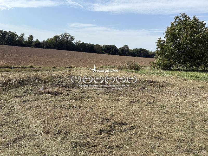 Predaj investičného pozemku – Zvončín - Pole a tráva v Záhradách v Zvončíne, pri Zvončíne, s jasnou oblohou a stromami.