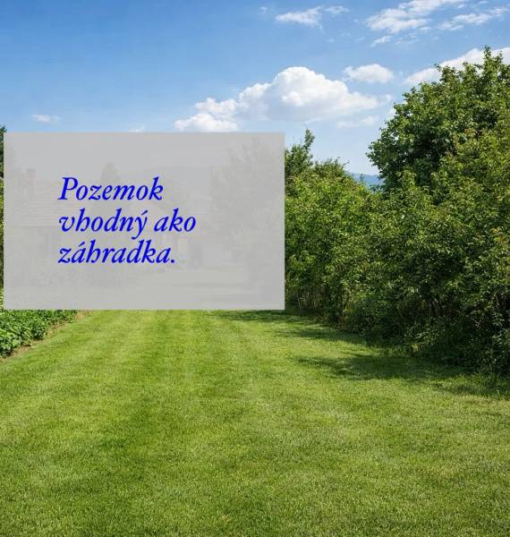 SLNEČNÝ POZEMOK 790 m² – IDEÁLNY NA ZÁHRADKU - LUDANICE - Trávnik so stromami v Záhradách Ludaníc, ideálny pozemok pre pestovanie.