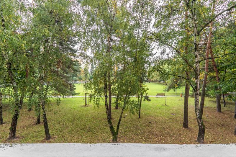 I Predaj 3- izbového bytu v Dúbravke - Zeleň a stromy na Gallayovej ulici v Bratislave - Dúbravke, blízko 3-izbového bytu.