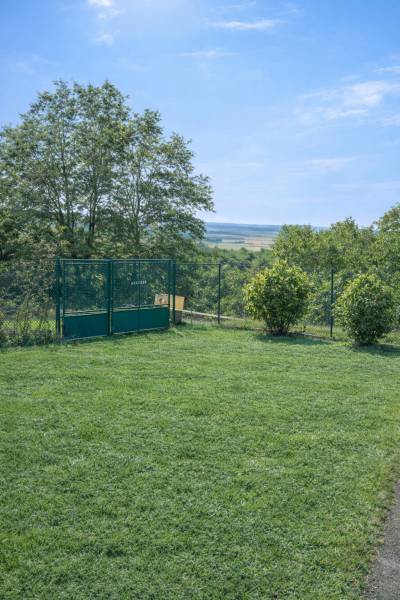 Bývajte vo svojom : dom a  pozemok 690 m², Veľké Ripňany 77.000,-EUR - Zelený trávnik so živým plotom a bránou pri rodinnom dome vo Veľkých Ripňanoch.