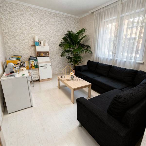 Predaj, výrobný a veľkoobchodný areál v okrese Veľký Krtíš - Pohovka, konferenčný stolík a rastlina v interiéri výrobných priestorov s podlahou s dreveným dekorom.