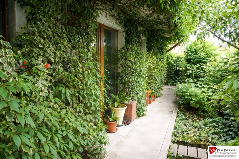 Prenájom 3-izbového bytu so záhradkou, 81m2, Pezinok-Centrum. - Záhrada 3-izbového bytu na Šancovej ulici v Pezinku s bujnou zeleňou a chodníkom.