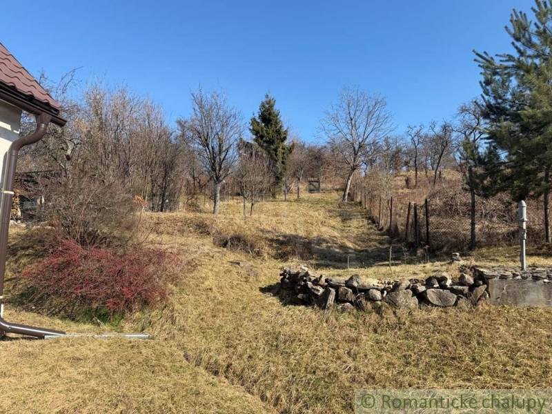 Exkluzívne: Pekná chalupa v obci Lipovec - Záhrada pri rodinnom dome v Lipovci so stromami a kamenným múrom.