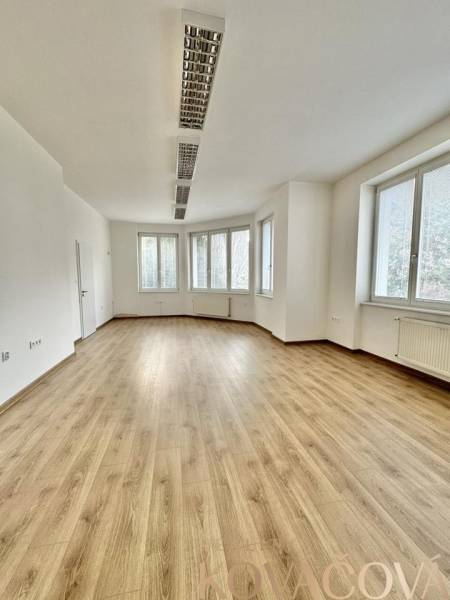 Kancelárske priestory na prenájom, Trenčín, ul. M.R.Štefánika - Kancelárie s veľkými oknami a podlahou s dreveným dekorom.