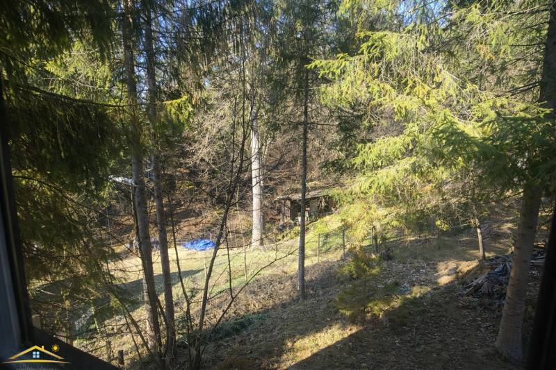 Horská chata na predaj Oščadnica - Lesnaté prostredie okolo chaty v Oščadnici, so stromami a trávnatou plochou.