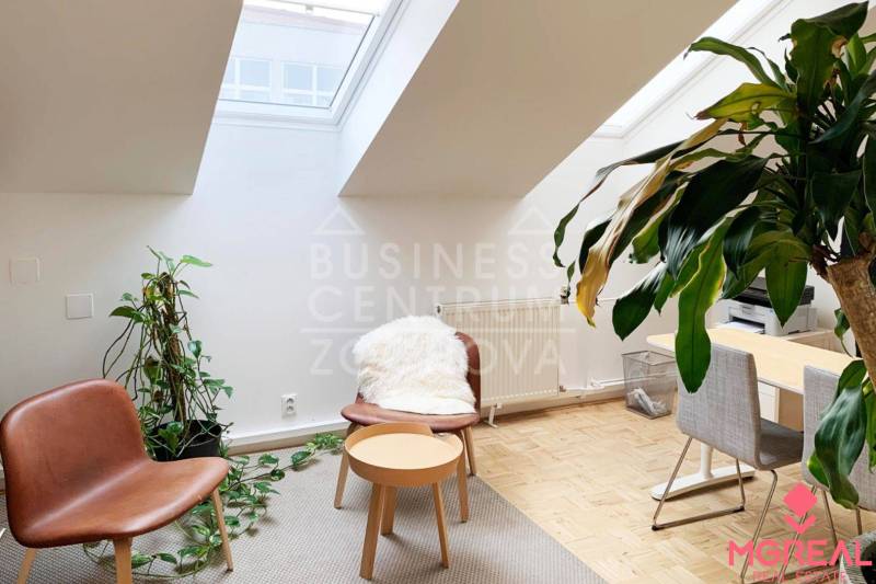 Reprezentatívne kancelárske priestory 121m2, Zochova ul., Staré Mest - Kancelárie s podlahou s dreveným dekorom, rastlinami a strešnými oknami pre denné svetlo.
