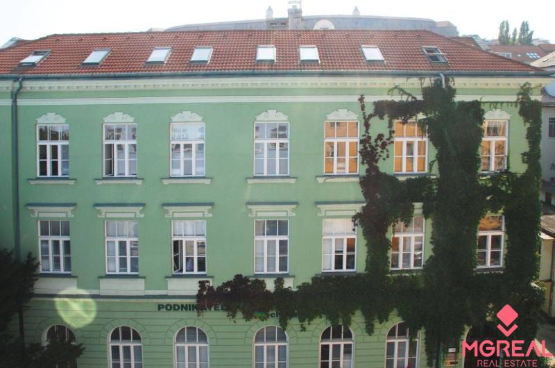 Reprezentatívne kancelárske priestory 121m2, Zochova ul., Staré Mest - Zelená fasáda budovy na Zochovej ulici v Bratislava-Staré Mesto, pokryté popínavými rastlinami, kancelárie.