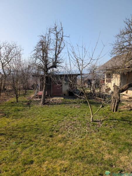 Rodinný dom s veľkou terasou a garážou v  Lastovciach za  73 500 € - Záhrada pri rodinnom dome na Novej ulici v Lastovciach s trávnikom a stromami.