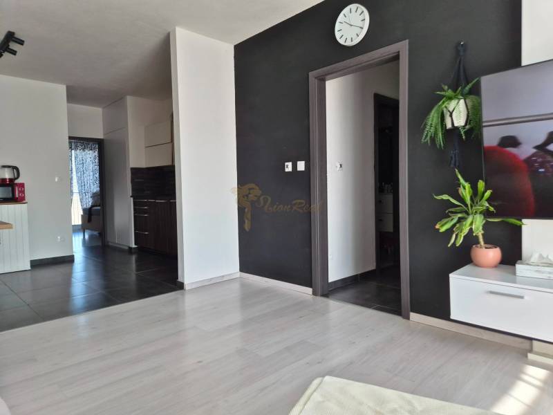 3-izb. byt v obci Blatná na Ostrove, balkón, lodžia, novostavba - Obývacia izba s podlahou s dreveným dekorom, čiernou stenou a rastlinami v 3-izbovom byte.