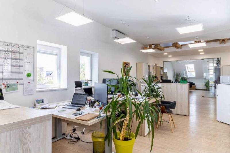 NA PRENÁJOM-Kancelársky priestor-Košice-Staré mesto,Masarykova ul. - Osvetlené kancelárie s počítačmi, rastlinami a podlahou s dreveným dekorom.