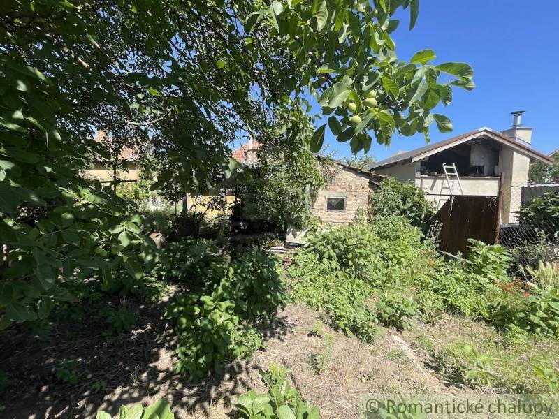 Rodinný dom v pôvodnom stave na 7 árovom pozemku v Tvrdošovciach - Záhrada pri rodinnom dome v Tvrdošovciach, obklopená bujnou zeleňou a stromami.