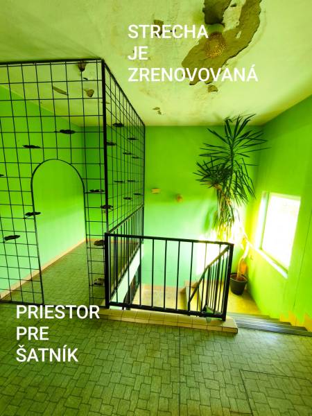 5 izbový dom Mankovce - Interiér Rodinného domu s mriežkovým zábradlím, zelenými stenami a kvetom pri schodoch.