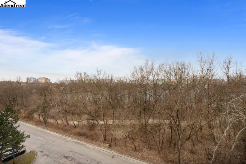 Na predaj príjemný zariadený 1 izbový byt na ulici Antolská, Petržalka - Pohľad z Antolskej ulice v Bratislave, Petržalke na les a paneláky, 1-izbový byt.