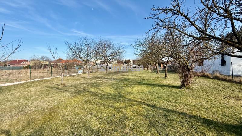 * 7i rodinný dom, veľký 33.5á pozemok, Brestovany - Záhrada s trávnikom a stromami v blízkosti rodinného domu na ulici Joža Nižnanského v Brestovanoch.